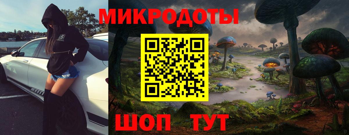 Псилоцибиновые грибы мицелий  Псилоцибиновые грибы Psilocybe  цены наркотик  Городец  Вход с VPN 