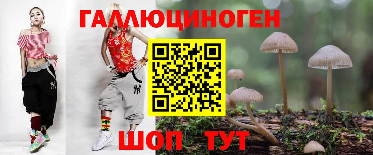 Галлюциногенные грибы мицелий Городец